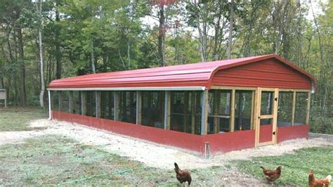 commercial chicken house metal roofing|chicken coop roof types.